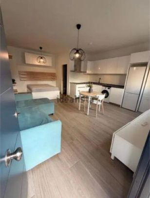 Alquiler de estudio en Santa Cristina - San Rafael - Photo 1