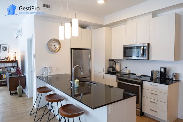 1213 av Charles-Huot – Le Charles-Huot - Photo 1