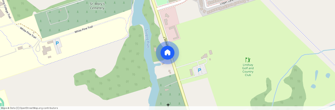 293 LINDSAY Street, Kawartha Lakes