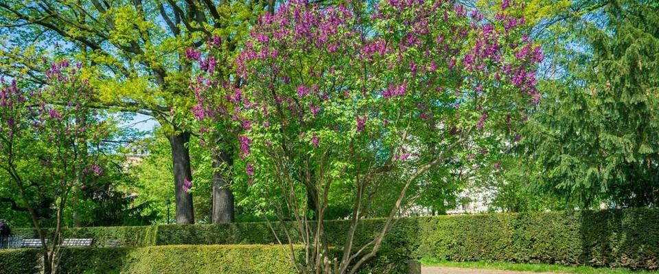 Großzügige 2-Raum-Wohnung im Altbau - Photo 1