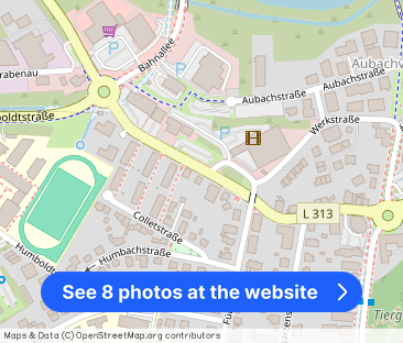 Montabaur, modernisierte, helle Wohnung - Photo 1