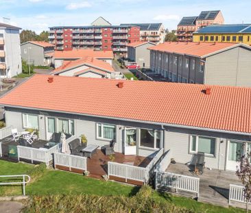 Kardemummaslingan, Göteborg - Foto 5