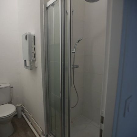 Appartement 1 pièce à Lille - Photo 4