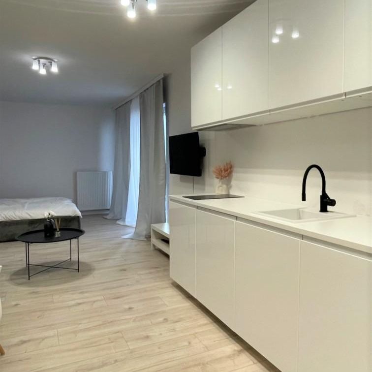 MIESZKANIE na WYNAJEM - Photo 1