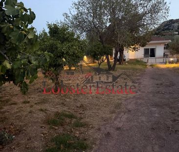 Μονοκατοικία για ενοικίαση Κίτσι (Κορωπί) - Φωτογραφία 6