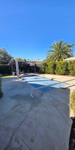 Australind - Photo 4
