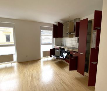 Linz/Urfahr/Jägerstraße: Traumlagewohnug mit Terrasse - Photo 4