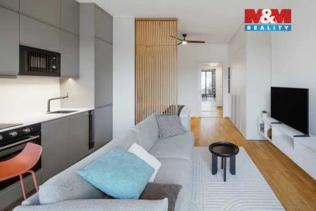 Pronájem bytu 1+kk, 38 m - Fotografie 4