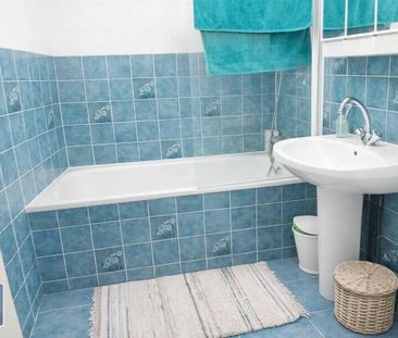 Location Appartement 1 pièce 28m² ANGERS 49000 - Photo 4