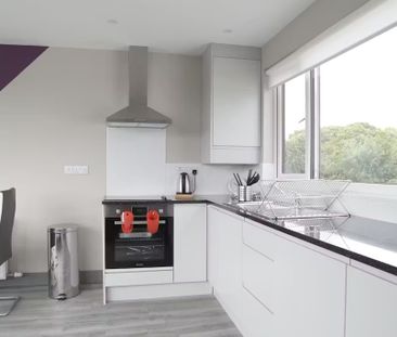 The Rise, Dublin - Photo 5