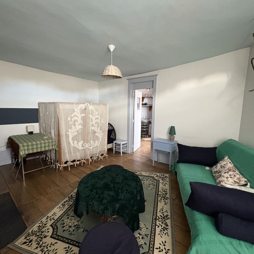 Location Appartement 2 pièces 30m² LIMOGES 87000 - Photo 1