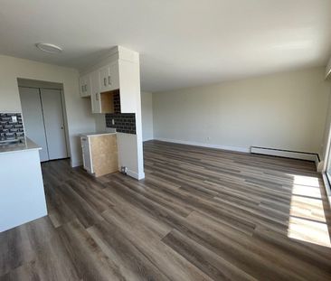 Newly Renovated Second Floor Apartment in White Rock - Photo 1