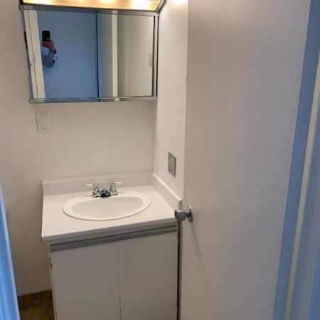 1 CH - 1 SDB - Montréal - $1,645 /mo - Photo 4