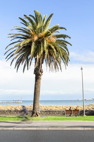 B106/52 Dow Street, Port Melbourne VIC 3207 - Apartment For Rent | Domain - Photo 2