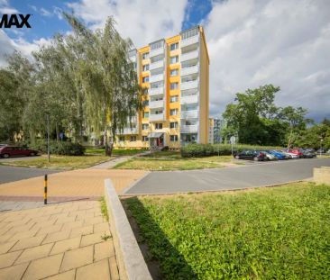 Pronájem 2+1 s balkonem, šatnou, komorou a sklepem na ul. Jílová v ... - Photo 3