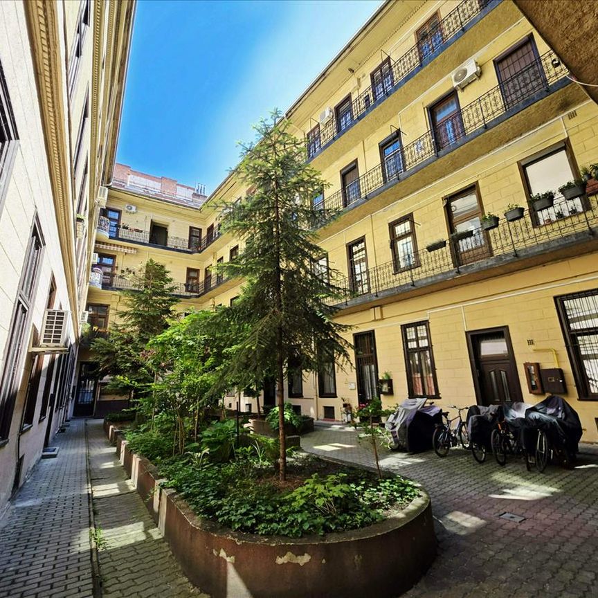 Kiadó jó állapotú lakás - Budapest VI. kerület - Fotó 1