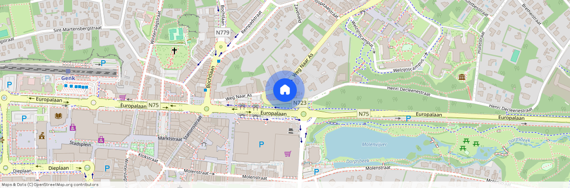 Weg naar As 21 / 20, 3600 Genk