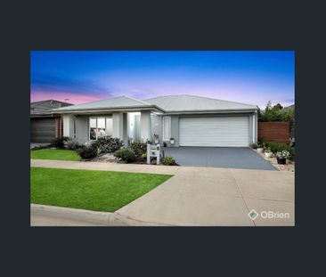 Modern & Comfortable - Photo 1