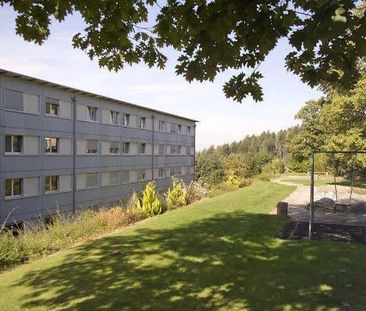 2.5 Zimmer, 62 m², 3. Stock - Photo 6