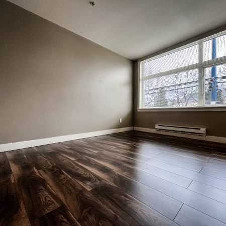 Modern 2bd1ba condo w/ walking distance to SkyTrain, groceries, & food - Photo 1