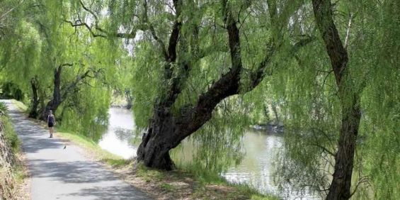 Riverside Tranquility - Photo 3