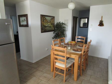 9 Étienne-Brulé - Photo 4