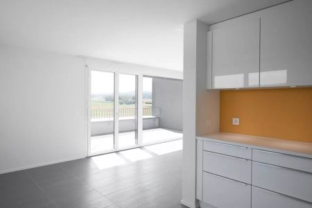 Magnifique 5.5 pièces au dernier étage avec terrasse - Foto 2