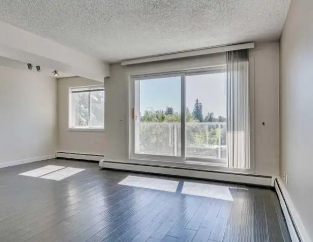 3 Bedroom 1.5 Bath with insuite laundry and open concept kitchen | 202D - 4455 Greenview Dr NE, Calgary - Photo 1