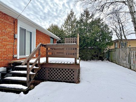 For Lease - 50 Tormore Drive, Richmond Hill, Ontario - Photo 3