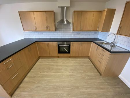 Walks View Court, Kings Lynn, Birch Tree Close - Photo 4