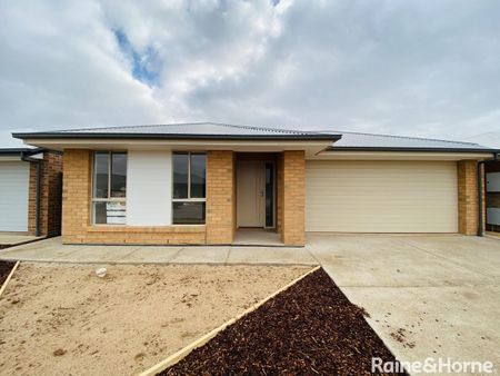 13 Myrta Avenue, Andrews Farm, SA 5114 - Photo 3