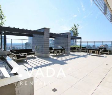 Unfurnished, 1 Bed 1 Bath Apartment For Rent - Photo 3