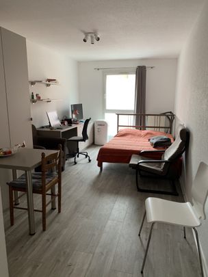Location Appartement 1 pièce 25m² STRASBOURG 67000 - Photo 1