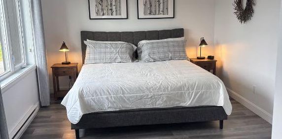 Logement 4 1/2 très lumineux à Mont Tremblant - Photo 2