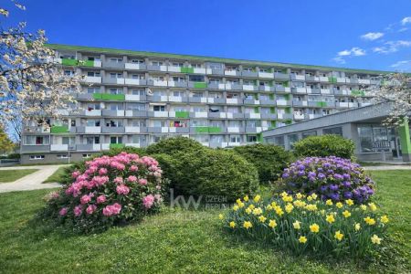 Pronájem bytu 1+kk 35 m - Fotografie 3