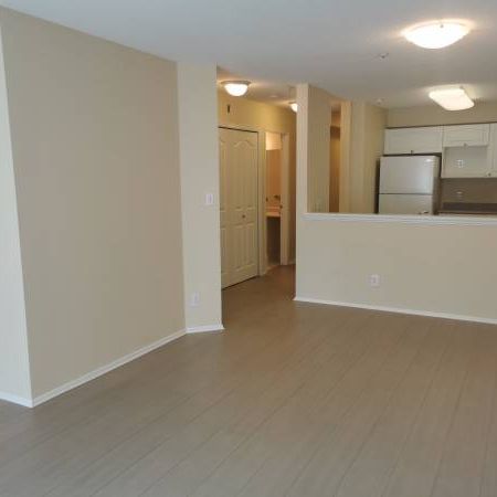 all new appliances new floor one bedroom apartment Maple Ridge - Photo 1