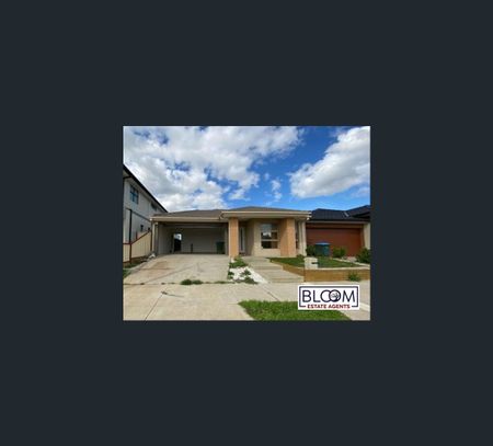 56 Stonecrop Way, Wyndham Vale, Vic 3024 - Photo 2