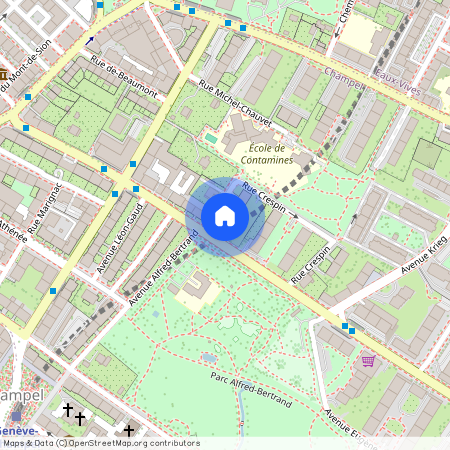 Rue Crespin 2, 1206 Genève