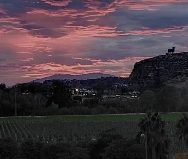 Vélez-Málaga - Foto 2