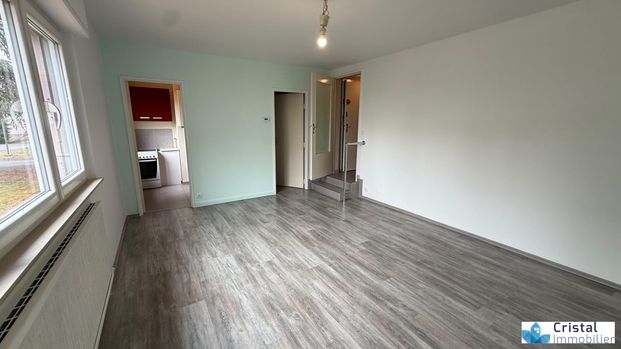 Location Appartement 1 pièce 28m² THIONVILLE 57100 - Photo 1