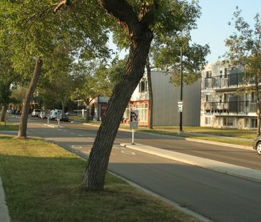 Homestead Manor - Photo 2