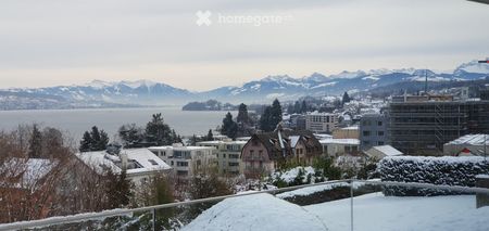 Stunning lake & mountain views modern apartment in Horgen - Photo 5
