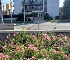 2 Bedroom Apartment Available | 1059 Don Mills Road, Toronto - Photo 1