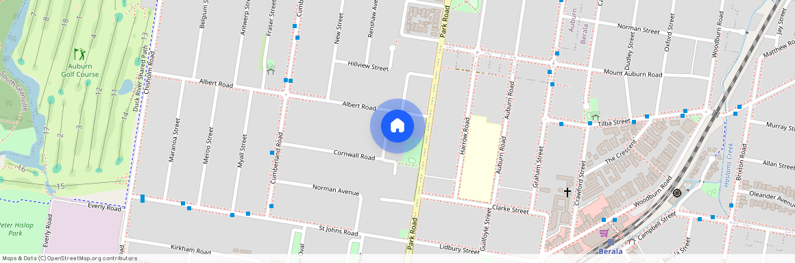 8A Cornwall Road, Auburn