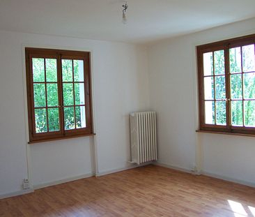 10-Zimmerwohnung in Einfamilienhaus in Grand-Lancy - Foto 2