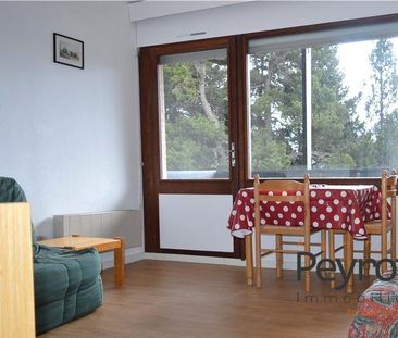 Location Appartement 1 pièce 25m² FONT ROMEU ODEILLO VIA 66120 - Photo 3