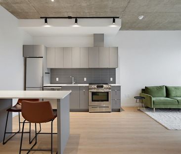 530 Rue Saint-Hubert apartment — Montréal, QC (1-Bedroom) - 1 Bedroom - Photo 5