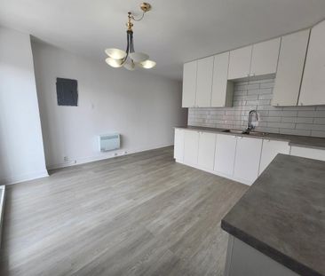 Appartement Montréal (Rosemont/La Petite-Patrie) À Louer - Photo 2