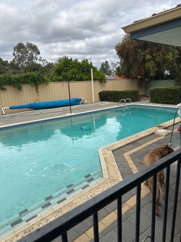 Dianella - Photo 5