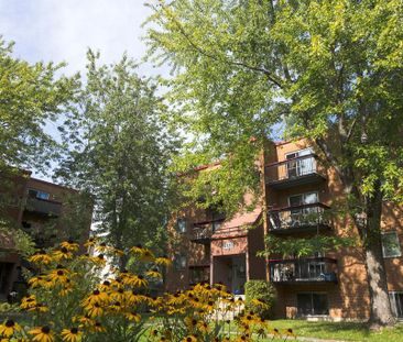 2 1/2 - Charny - Tout inclus - libre immédiatement - Photo 1